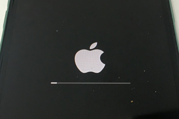 Iphone11のリンゴループが直った事例を報告します チエチエふぁーむ